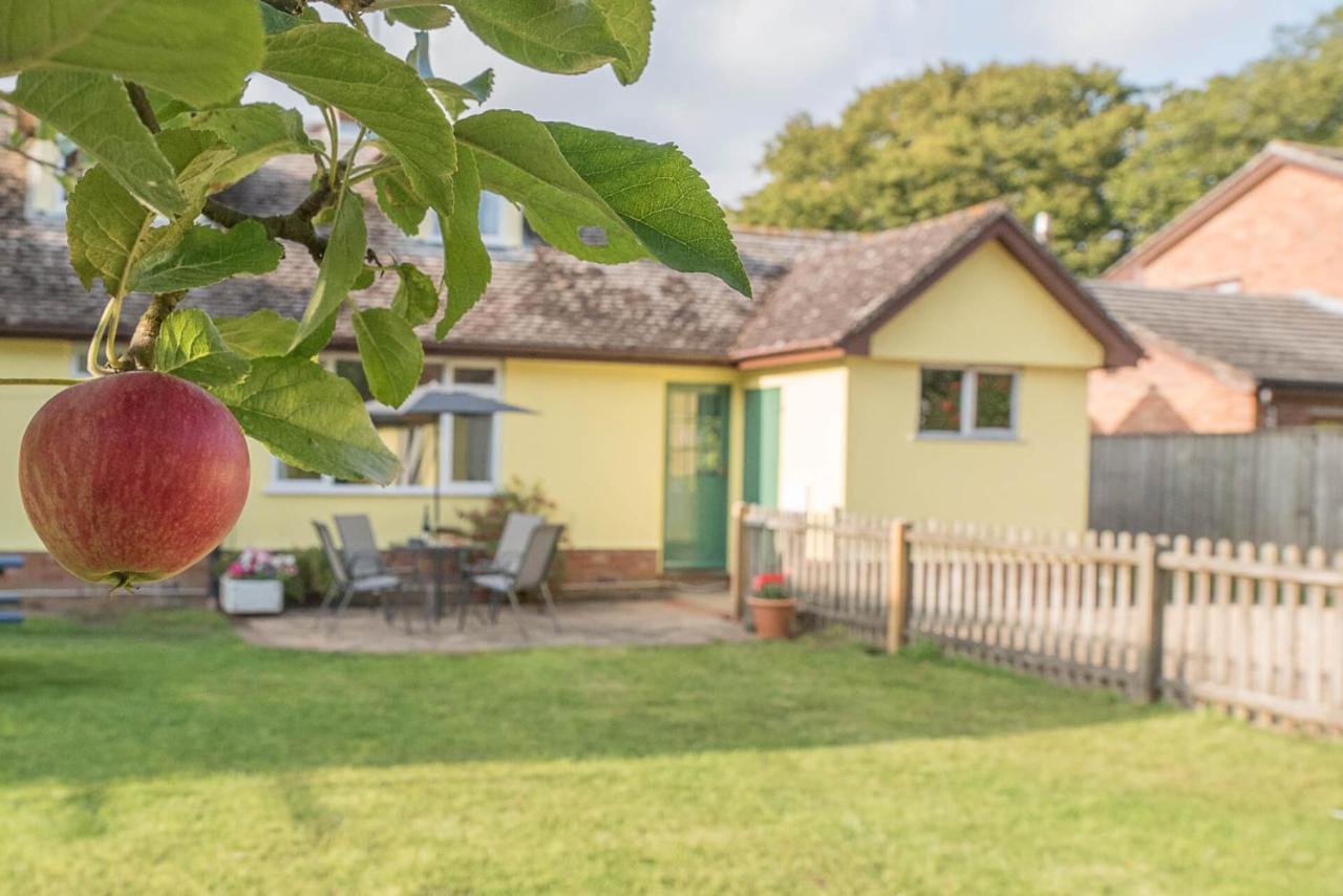 The Spinney Saxtead Nr Framlingham 伍德布里奇 外观 照片